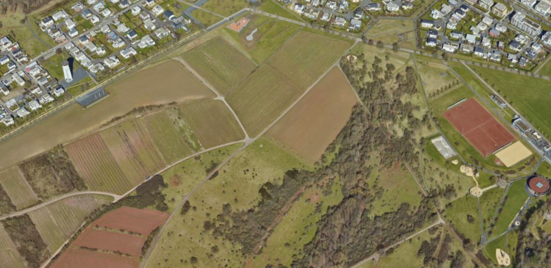 Petrispark/ehemaliges Gartenschaugel&auml;nde